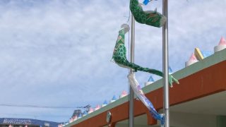 元気なこいのぼり!!